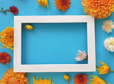 Renkli arkaplan çerçevesinde güzel çiçekler, şablon