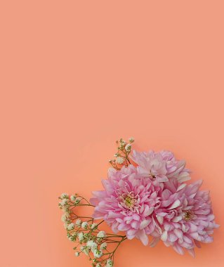 Renkli arka planda güzel çiçekler