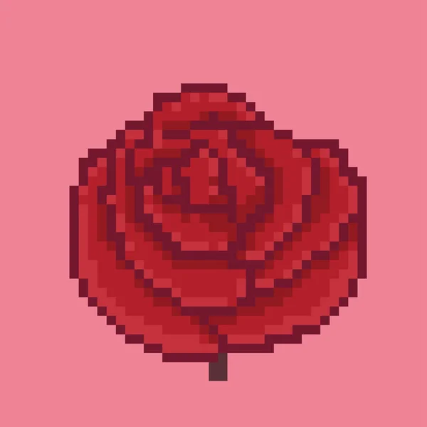 Kırmızı güller çiçek pikseli