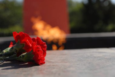 ebedi alev yakınında karanfil çiçekler