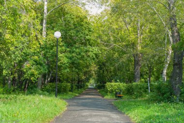 Yaz Park yürüme yolu