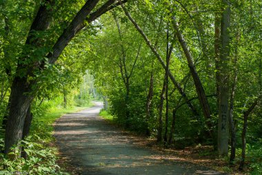 Yaz Park yürüme yolu
