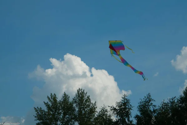 Rainbow Kite Brue Sky — Stock Photo, Image