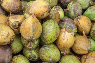 Yazı temsil eden hindistan cevizi yığını, tatil atmosferi, tropikal sahil yaşam tarzı, ve egzotik seyahat noktaları.