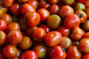 Parlak derili, olgun kırmızı domates yığını, aşçılık kullanımı, tarım temaları, market pazarları ve diyet kavramları için uygun..