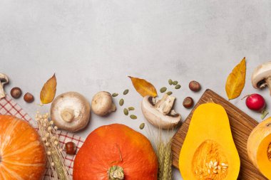 Gri arka planda balkabağı, mısır, mantar ve renkli yapraklarla taze sonbahar hasadı.