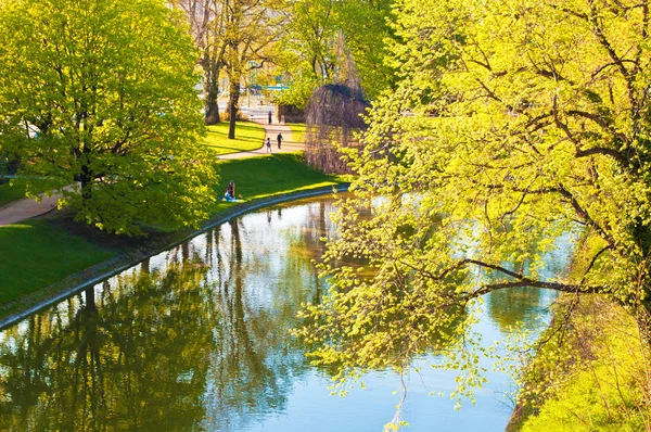 See Vor Der Zwinger Galerie Dresden Deutschland Schnittgrünes Gras Hohe — Stockfoto