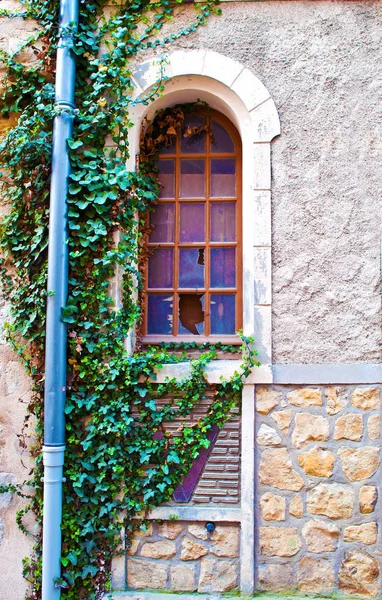 One arched window covered with ivy