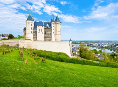 Arka cephe ve görkemli Chateau de Saumur yakınındaki üzüm bağı 