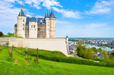 Arka cephe ve görkemli Chateau de Saumur yakınındaki üzüm bağı