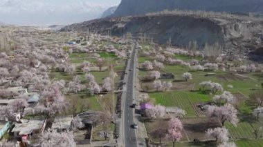Pakistan dağlarında çiçek açan bir köyün havadan görünüşü doğanın güzelliğini ve kırsal yaşamın basitliğini vurguluyor..