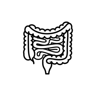 İnsan bağırsaklarının karmaşık yapısını gösteren ayrıntılı bir çizim. İllüstrasyonda ince bağırsağın daha kalın bağırsaklarla çevrili olduğu açıkça gösteriliyor.