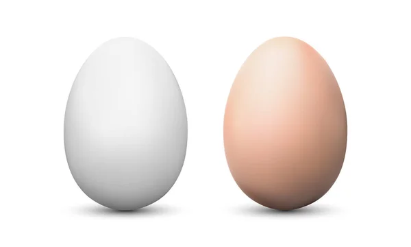 Kurczak jaj makiet biały i brązowy na białym tle — Wektor stockowy