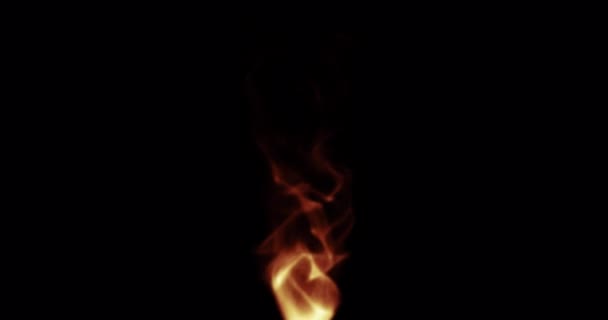 Burning Fire Animation Flame Black Background — Stock Video