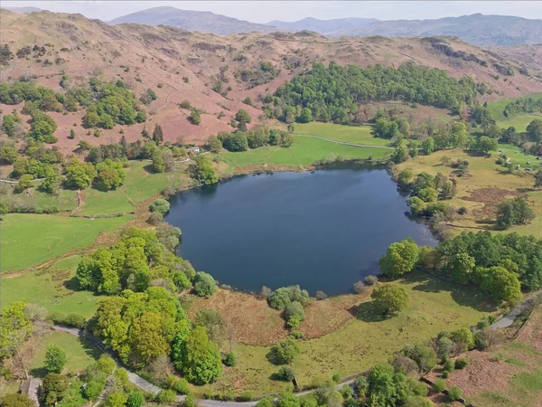 Parlak gökyüzünün altında yemyeşil tarlalar, ağaçlar ve yuvarlanan tepelerle çevrili sakin bir gölü görüntüler..