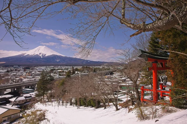 Dallarla çerçevelenmiş kırmızı bir torii kapısı olan Fuji Dağı 'nın çarpıcı manzarası, mavi bir gökyüzünün altında karla kaplıydı..