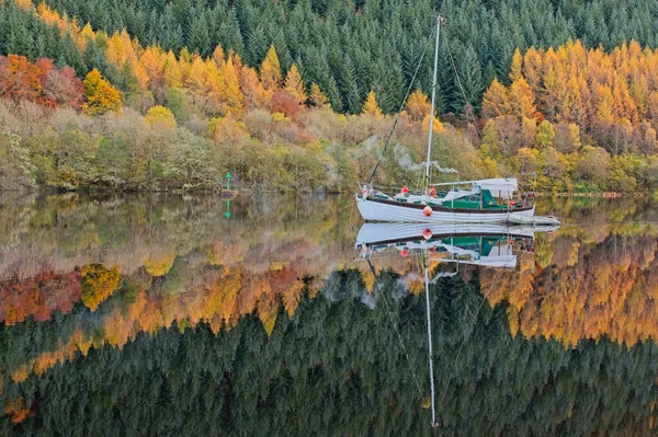 Bir yelkenli sakin bir göl kıyısında süzülür, canlı sonbahar yapraklarını yansıtır ve açık bir gökyüzünün altında daima yeşil ağaçlar, doğanın güzelliğini gösterir..