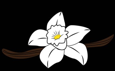 An illustration of a vending machine containing different kinds of snacks and drinks. 