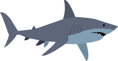 An illustration of a shark.