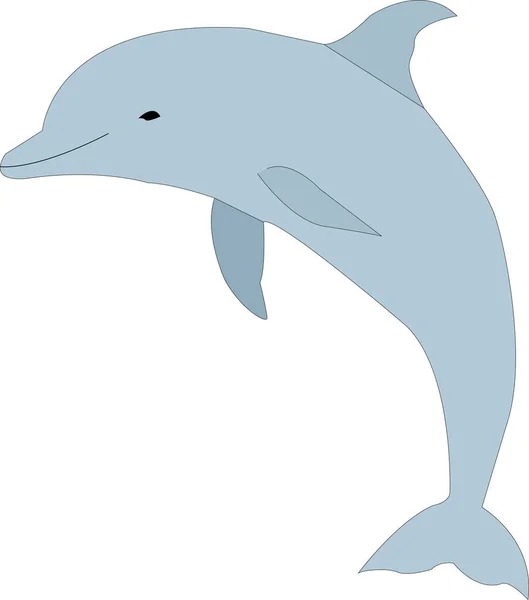 An illustration of a dolphin.