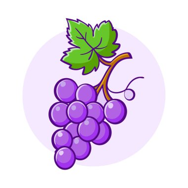 Yapraklı Eflatun Üzümler, Meyve Çizimi