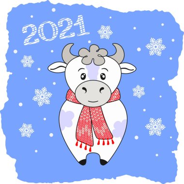 Cute white spotted bull in a red knitted scarf on a blue background with snowflakes and hand lettering 2021. New Year 2021 of the ox, bull, cow. Vector design template for Christmas and New Year banner, poster, calendar, greeting card and invitation clipart