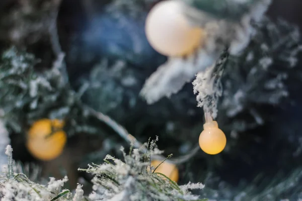 Primer plano. Luces de Navidad en ramita de árbol de Navidad. fondo borroso — Foto de Stock