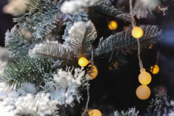 Primer plano. Luces de Navidad en ramita de árbol de Navidad. fondo borroso — Foto de Stock