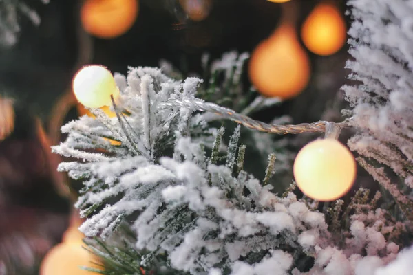 Close Kerstverlichting Takje Van Kerstboom Onscherpe Achtergrond — Stockfoto