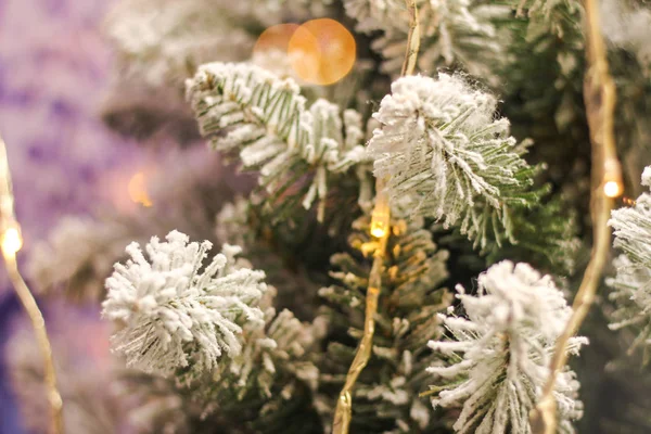 Close Christmas Lights Sprig Christmas Tree Blurred Backgroun — Stock Photo, Image