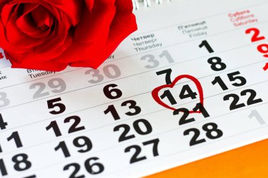 kırmızı gül yatıyordu takvim tarihini taşıyan 14 Şubat Sevgililer günü
