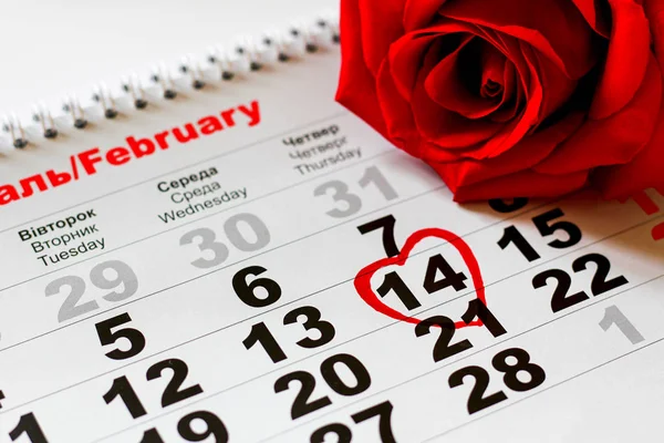 Red Rose Lay Calendar Date February Valentine Day — Stock Photo, Image