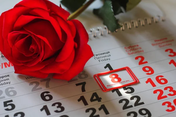 red rose lay on the calendar with the date of 8 march. Concept: International Women\'s Day