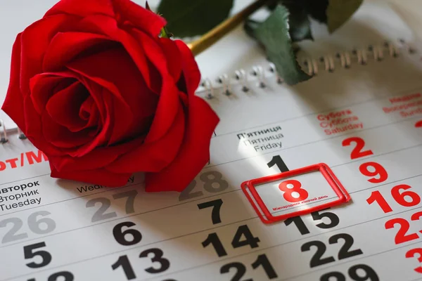 red rose lay on the calendar with the date of 8 march. Concept: International Women\'s Day
