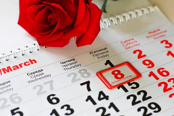Röd Ros Låg Kalendern Med Datum Den Mars Koncept Internationella — Stockfoto