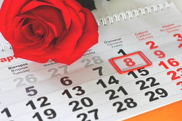 Rosa Roja Yacía Calendario Con Fecha Del Marzo Concepto Día — Foto de Stock