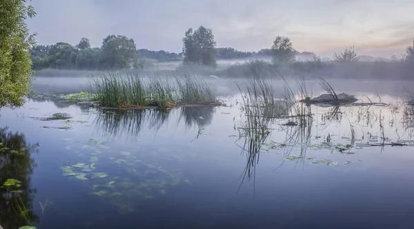 Neblige Sommerlandschaft Mit Kleinem Waldfluss Sommerall Dunstigen Abend Twilight Calm — Stockfoto