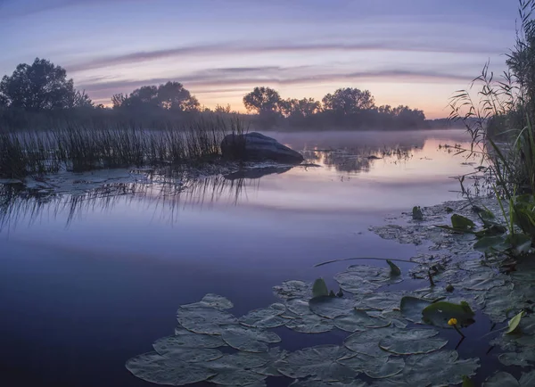 Neblige Sommerlandschaft Mit Kleinem Waldfluss Sommerall Dunstigen Abend Twilight Calm — Stockfoto