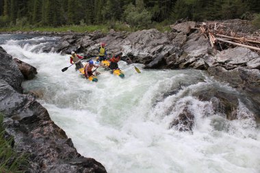 Altay Cumhuriyeti / Rusya - 30 Haziran 2016: Extreme Bashkaus nehirde rafting, aşırı sporcular zor türbin hızlı bir katamaran üzerinde Rusya, Altay Cumhuriyeti gidin. Altay, temiz hava 
