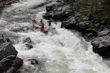 Altay Cumhuriyeti / Rusya - 30 Haziran 2016: Extreme Bashkaus nehirde rafting, aşırı sporcular zor türbin hızlı bir katamaran üzerinde Rusya, Altay Cumhuriyeti gidin. Altay, temiz hava 