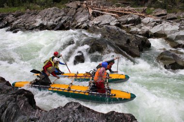 Altay Cumhuriyeti / Rusya - 30 Haziran 2016: Extreme Bashkaus nehirde rafting, aşırı sporcular zor türbin hızlı bir katamaran üzerinde Rusya, Altay Cumhuriyeti gidin. Altay, temiz hava 