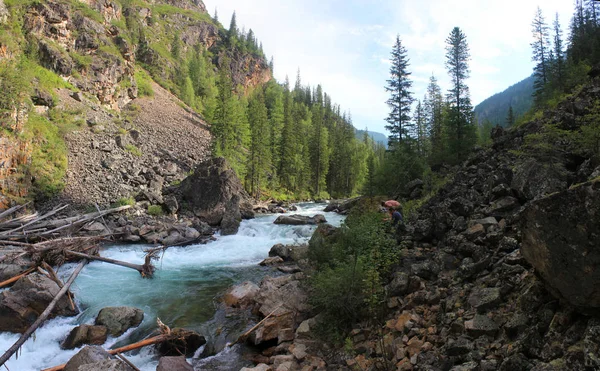 Viaje a través de la naturaleza salvaje de los Altai. Bosques de coníferas y el valle del río Bashkaus. Paisaje de verano - Aire limpio de Altai y la belleza de Siberia — Foto de Stock