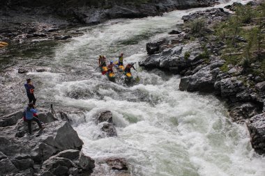 Altay Cumhuriyeti / Rusya - 30 Haziran 2016: Extreme Bashkaus nehirde rafting, aşırı sporcular zor türbin hızlı bir katamaran üzerinde git. Altay ve Sibirya güzellik temiz hava
