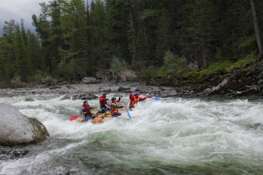 Altay Cumhuriyeti / Rusya - 30 Haziran 2016: Extreme Bashkaus nehirde rafting, aşırı sporcular zor türbin hızlı bir katamaran üzerinde git. Altay ve Sibirya güzellik temiz hava