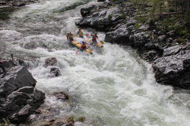 Altay Cumhuriyeti / Rusya - 30 Haziran 2016: Extreme Bashkaus nehirde rafting, aşırı sporcular zor türbin hızlı bir katamaran üzerinde git. Altay ve Sibirya güzellik temiz hava
