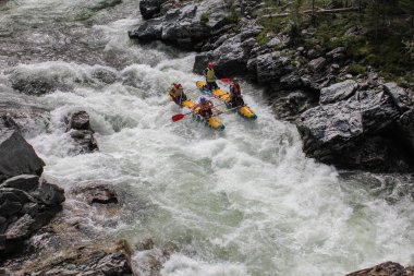 Altay Cumhuriyeti / Rusya - 30 Haziran 2016: Extreme Bashkaus nehirde rafting, aşırı sporcular zor türbin hızlı bir katamaran üzerinde git. Altay ve Sibirya güzellik temiz hava