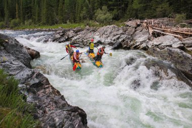 Altay Cumhuriyeti / Rusya - 30 Haziran 2016: Extreme Bashkaus nehirde rafting, aşırı sporcular zor türbin hızlı bir katamaran üzerinde git. Altay ve Sibirya güzellik temiz hava