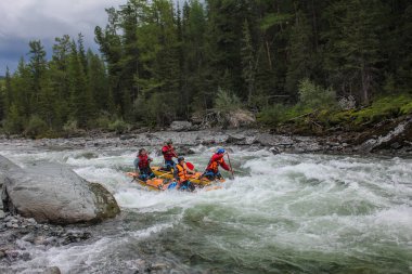 Altay Cumhuriyeti / Rusya - 30 Haziran 2016: Extreme Bashkaus nehirde rafting, aşırı sporcular zor türbin hızlı bir katamaran üzerinde git. Altay ve Sibirya güzellik temiz hava
