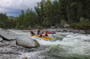 Altay Cumhuriyeti / Rusya - 30 Haziran 2016: Extreme Bashkaus nehirde rafting, aşırı sporcular zor türbin hızlı bir katamaran üzerinde git. Altay ve Sibirya güzellik temiz hava
