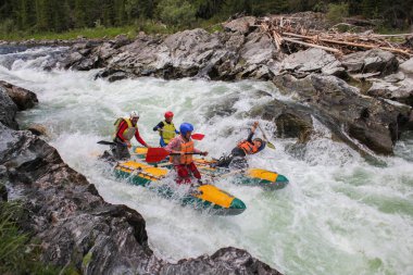Altay Cumhuriyeti / Rusya - 30 Haziran 2016: Extreme Bashkaus nehirde rafting, aşırı sporcular zor türbin hızlı bir katamaran üzerinde git. Altay ve Sibirya güzellik temiz hava